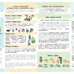 Ilustración sobre cómo actuar ante una intoxicación de perros, incluyendo síntomas, causas y qué hacer si el animal está vivo o no. Menciona el veneno para perros.