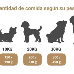 Siluetas de perros de diferentes tamaños, de 5 a 40 kg, con la cantidad de comida que comen según su peso.