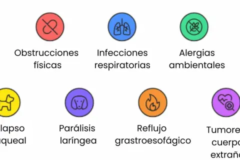 Causas de tos en perros: obstrucciones, infecciones, alergias, colapso traqueal, parálisis laríngea, reflujo y tumores.