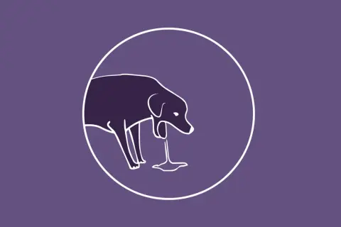 Ilustración de un perro con un líquido saliendo de su boca, representando el reflujo en perros.