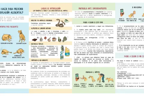 Ilustración sobre cómo actuar ante una intoxicación de perros, incluyendo síntomas, causas y qué hacer si el animal está vivo o no. Menciona el veneno para perros.