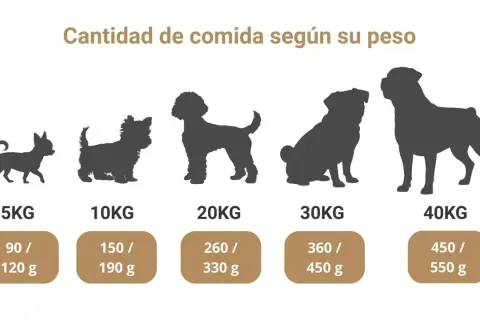 Siluetas de perros de diferentes tamaños, de 5 a 40 kg, con la cantidad de comida que comen según su peso.