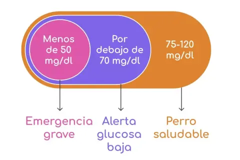 Niveles de glucosa en perros: <50 mg/dl (emergencia grave), <70 mg/dl (alerta, glucosa baja), 75-120 mg/dl (perro saludable).