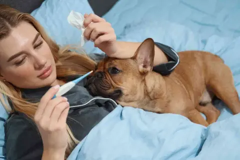 Mujer con termómetro y perro en cama. ¿Fiebre en perros como bajarla?