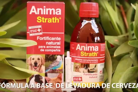 Anima Strath, fortificante natural para animales de compañía, sirve para dar energía y vitalidad.
