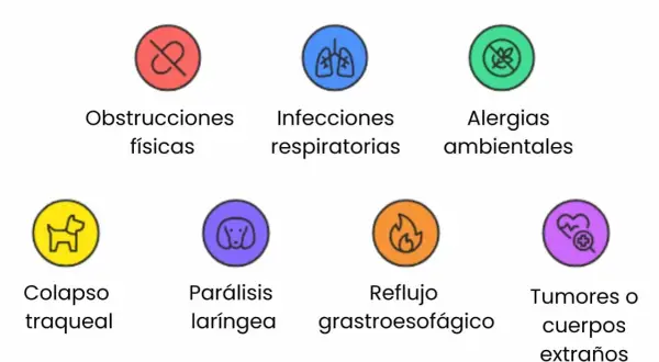 Causas de tos en perros: obstrucciones, infecciones, alergias, colapso traqueal, parálisis laríngea, reflujo y tumores.