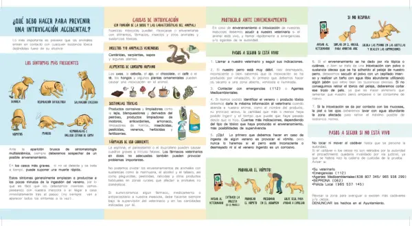 Ilustración sobre cómo actuar ante una intoxicación de perros, incluyendo síntomas, causas y qué hacer si el animal está vivo o no. Menciona el veneno para perros.