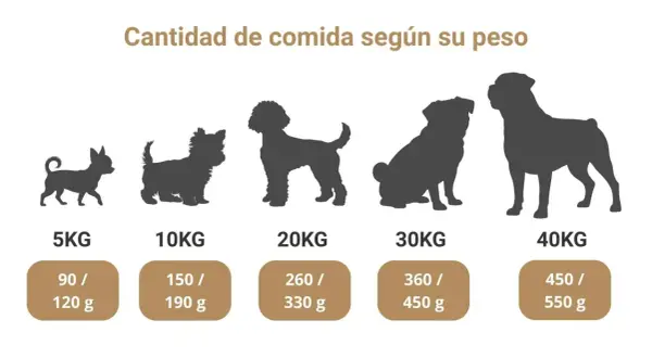 Siluetas de perros de diferentes tamaños, de 5 a 40 kg, con la cantidad de comida que comen según su peso.
