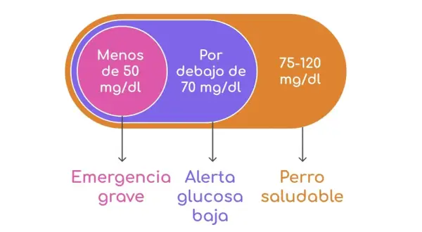 Niveles de glucosa en perros: <50 mg/dl (emergencia grave), <70 mg/dl (alerta, glucosa baja), 75-120 mg/dl (perro saludable).