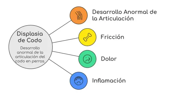 Diagrama sobre displasia de codo en perros, detallando desarrollo anormal, fricción, dolor e inflamación.
