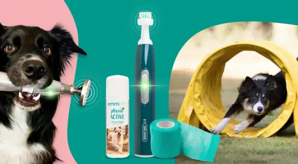 Perro con dispositivo para fisioterapia para perros, gel y cepillo dental. Otro perro corre por un túnel.