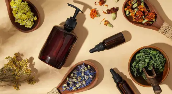Botellas de vidrio ámbar con goteros y cucharas de madera con hierbas secas y flores, sugiriendo remedios naturales como flores de Bach para perros.