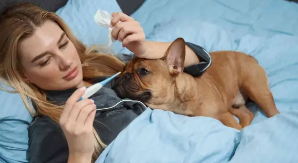 Mujer con termómetro y perro en cama. ¿Fiebre en perros como bajarla?