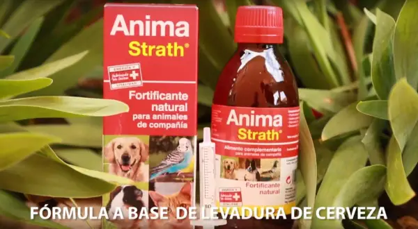 Anima Strath, fortificante natural para animales de compañía, sirve para dar energía y vitalidad.