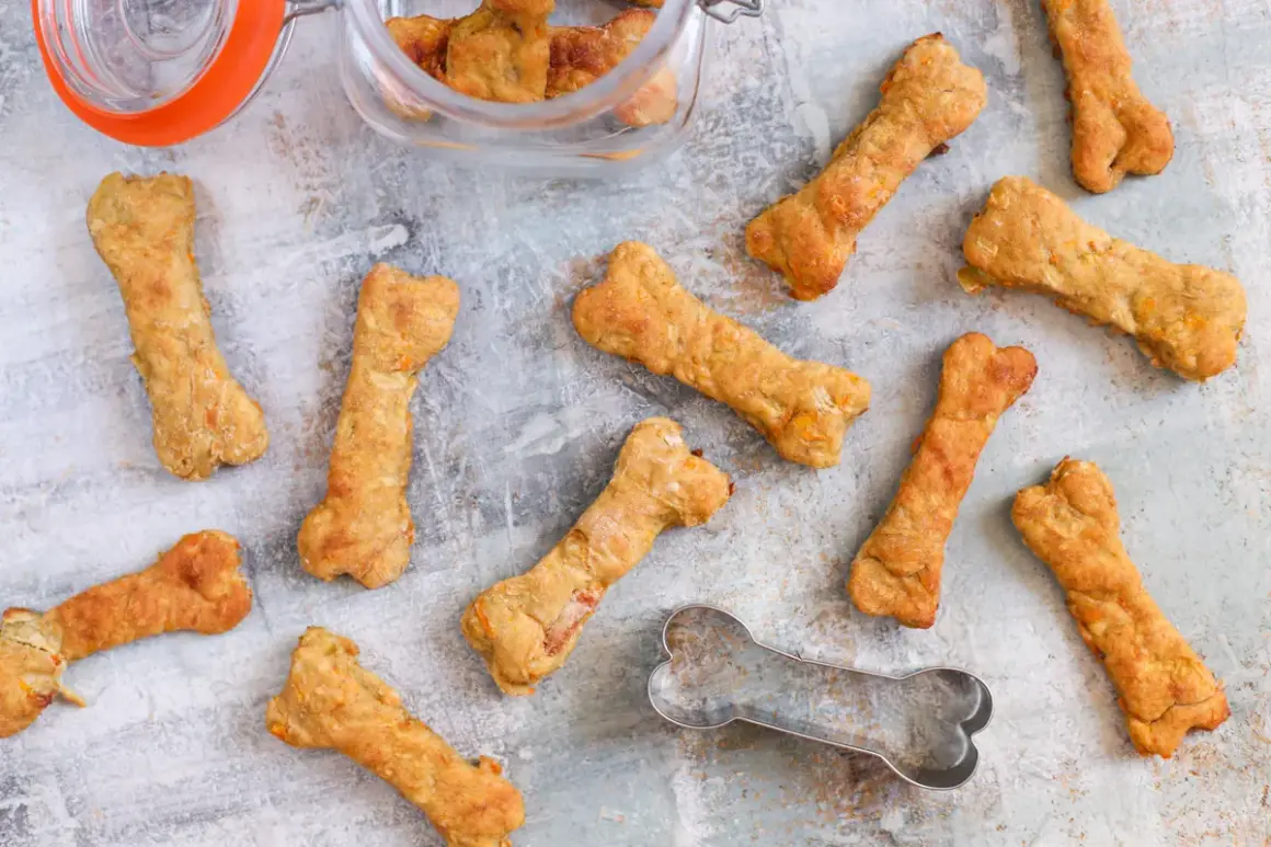 Galletas caseras para perros con forma de hueso, algunas en un frasco de vidrio. ¡Un festín para tu mejor amigo!