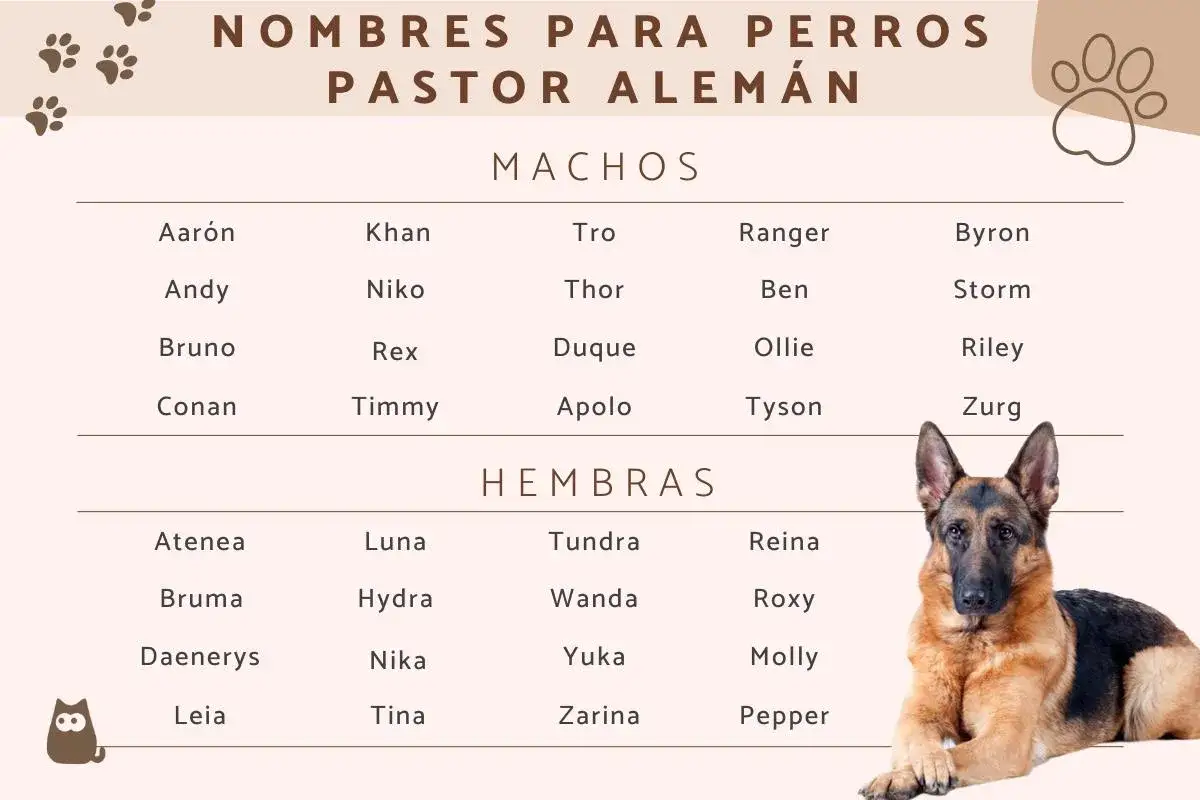 Lista de nombres para pastor alem&aacute;n, machos y hembras. Incluye nombres como Khan, Thor, Luna y Roxy.