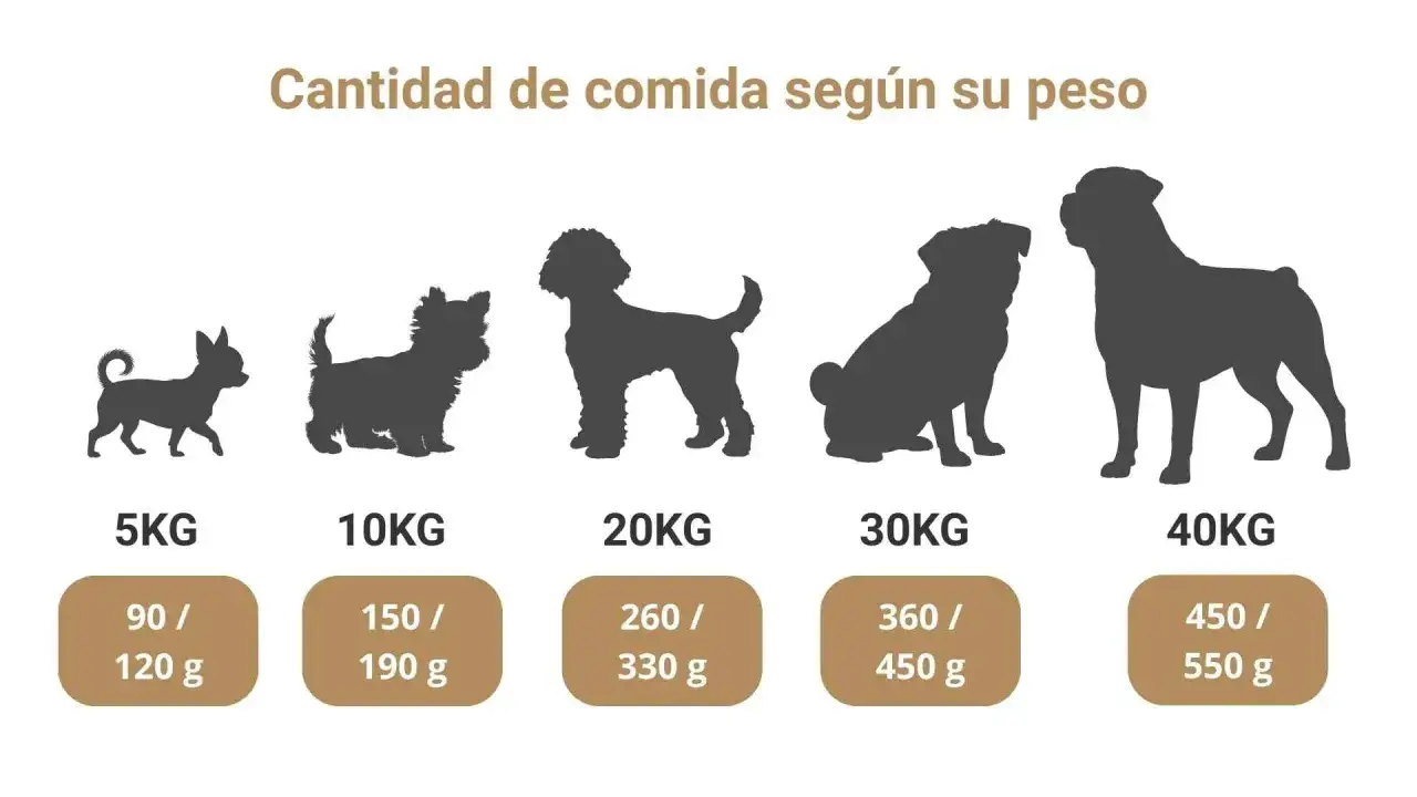 Tabla de cantidad de comida casera para perro seg&uacute;n su peso, desde 5kg hasta 40kg.