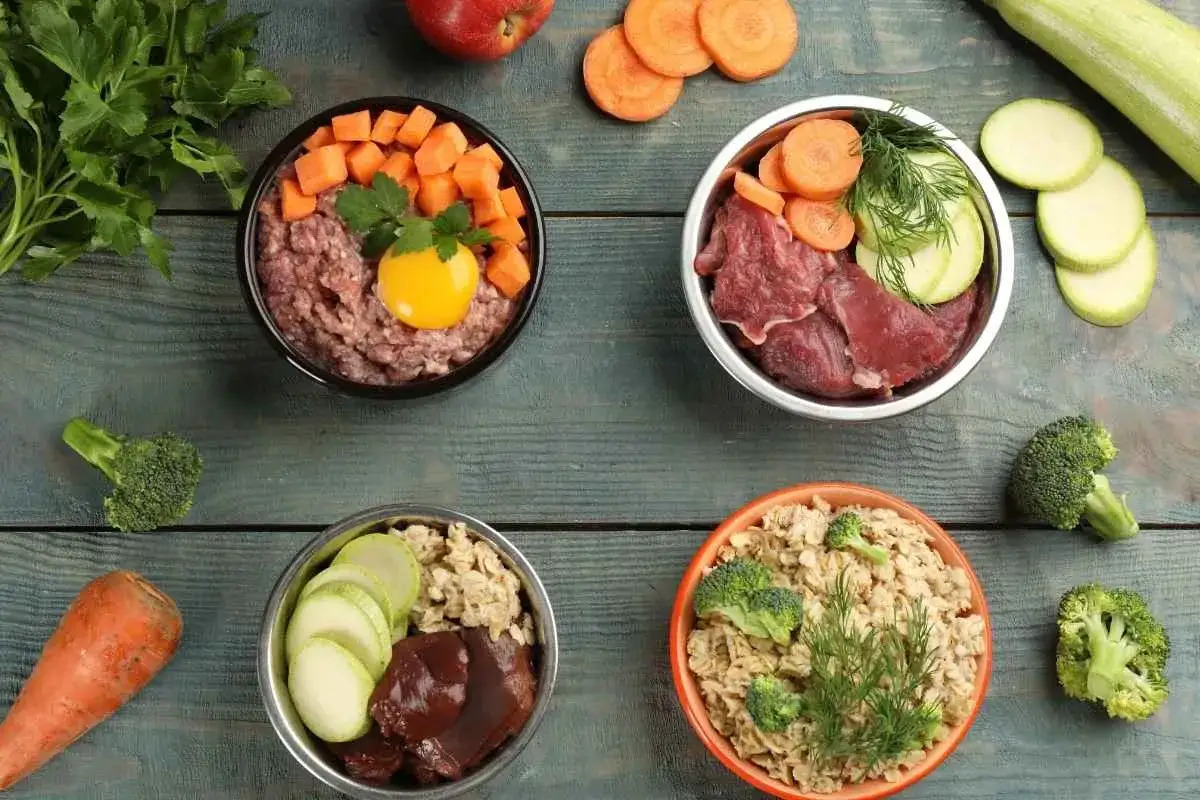 Cuatro tazones con comida para perros: carne cruda, huevo, zanahoria, calabac&iacute;n, br&oacute;coli y avena. Los perros pueden comer carne cruda.