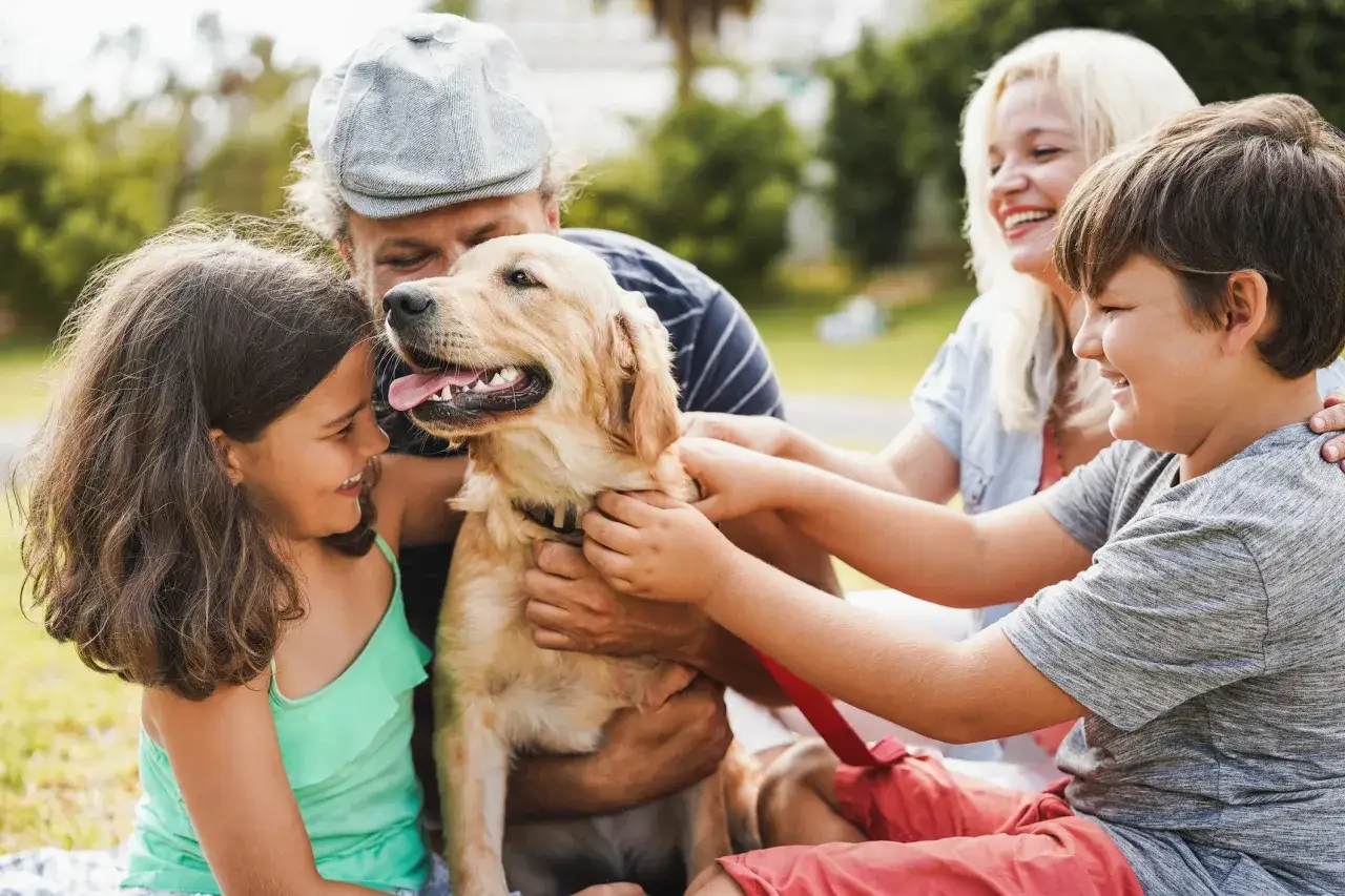 Familia feliz acariciando a un adorable golden retriever en un d&iacute;a soleado.
