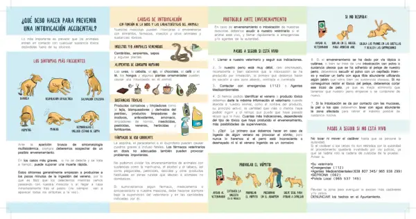 Ilustración sobre cómo actuar ante una intoxicación de perros, incluyendo síntomas, causas y qué hacer si el animal está vivo o no. Menciona el veneno para perros.